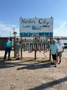 Successful fishing charter displaying multiple redfish catch at Harbor City Bait in Rockport TX