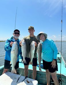 Four big redfish caught in TX