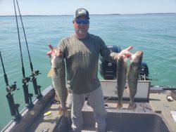 A fisherman enjoying a day of fishing at the lakeside in Marblehead, catching 3 big fish