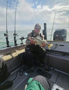 Fisherman with a large catch at Lakeside Marblehead