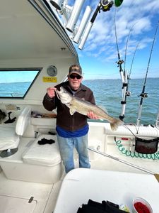 A person fishing at the lakeside in Marblehead