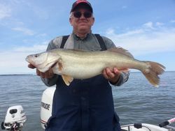 Pike-Perch, a 28-inch fish, caught by two people at Lakeside Marblehead