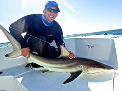 Blacktip shark fishing at Harkers Island
