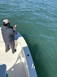 Great day on the water at Cape Pointe Marina with clear conditions - rod's bent and ready for action!