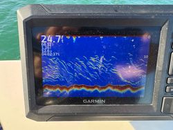 Scenic landscape in NC with fishing and tour activities