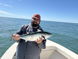 Nice Little Tunny caught using deep sea jigging at Cape Pointe Marina today!