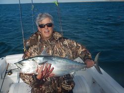 A single little tunny fish caught on a fishing trip near Harkers Island