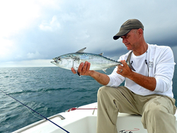 Little Tunny fish caught in NC fishing tour