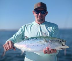 Image of a Little Tunny fish caught in NC during a fishing tour