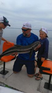 Cobia fish caught while fishing in FL