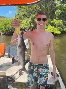 Caught a 16-inch Gafftopsail sea catfish while fishing in FL