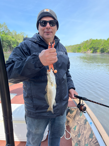 Panama City speckled trout caught on light tackle!