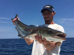 Cobia Quest in Florida