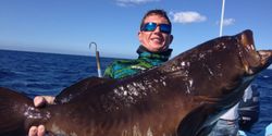 Fish of the day. Florida's majestic Red Grouper