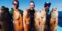 Florida's abundant Red Snapper waters