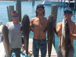 Cobia Adventures in Florida