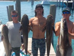 3 big fishing in lantana