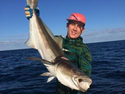 Cobia Glory Awaits in Florida