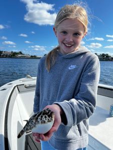 Angler fishing in Florida