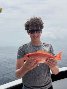 Red snapper caught while fishing in Lantana FL waters