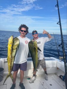 Two cero mackerel caught while fishing in Lantana