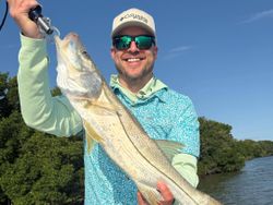 Snook fish caught while fishing in FL