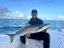 A fisherman caught a cobia fish in FL.