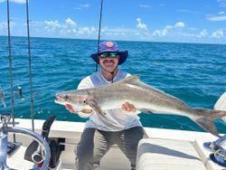 Cobia fish caught while fishing in FL