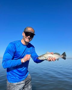 Spotted weakfish caught while fishing in FL