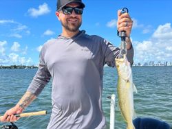 Spotted weakfish caught while fishing in Homestead