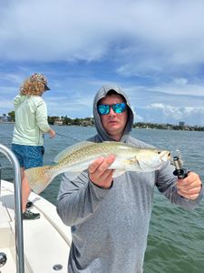 Spotted Weakfish caught while fishing in Homestead
