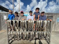 Successful black drum fishing trip in Corpus Christi TX with multiple fish displayed on cleaning station