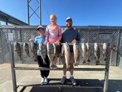 Successful fishing trip in Corpus Christi TX showing catch of black drum and redfish displayed on cleaning station