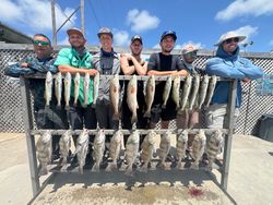 Successful fishing trip in Corpus Christi TX showing caught black drum, redfish, and speckled trout displayed on cleaning station