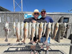 Fishing catch display showing black drum, redfish, and speckled trout from Corpus Christi TX