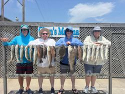 Successful fishing trip displaying Black Drum, Summer Flounder, Redfish, Speckled Trout, and Grey Snapper catch in Corpus Christi TX