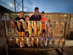 Fishing charter display of redfish, black drum, and freshwater drum caught in Corpus Christi TX