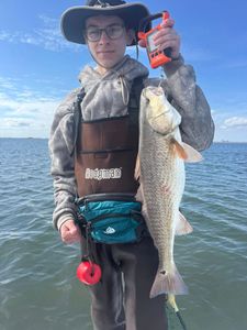 Redfish catch displayed on fishing trip in Corpus Christi TX