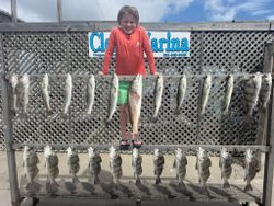 Fishing catch display showing redfish, black drum and speckled trout at Corpus Christi marina