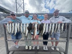 Fishing catch display showing redfish, speckled trout, and warmouth from Corpus Christi TX