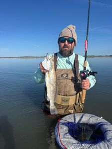 Speckled trout fishing catch in Corpus Christi TX with fishing rod and net