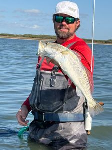 Angler holding speckled trout while wade fishing in Corpus Christi TX waters