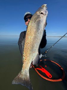 Large speckled trout caught fishing in Corpus Christi TX with fishing rod and net visible