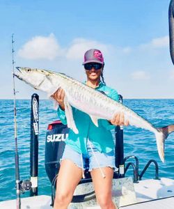 Kingfish, Laguna Madre fishing