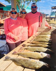 Best Sea Trout, Laguna Madre Fishing