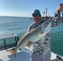 Single angler fishing in Port Mansfield