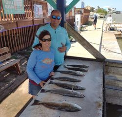 4 large fish caught while fishing in Port Mansfield
