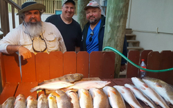 4 fish caught during fishing trip in Port Mansfield