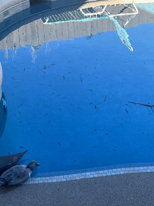 Clear skies and light tackle: the perfect recipe for deep sea adventure!