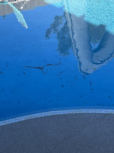 Clear skies and light tackle: the perfect recipe for deep sea adventure!